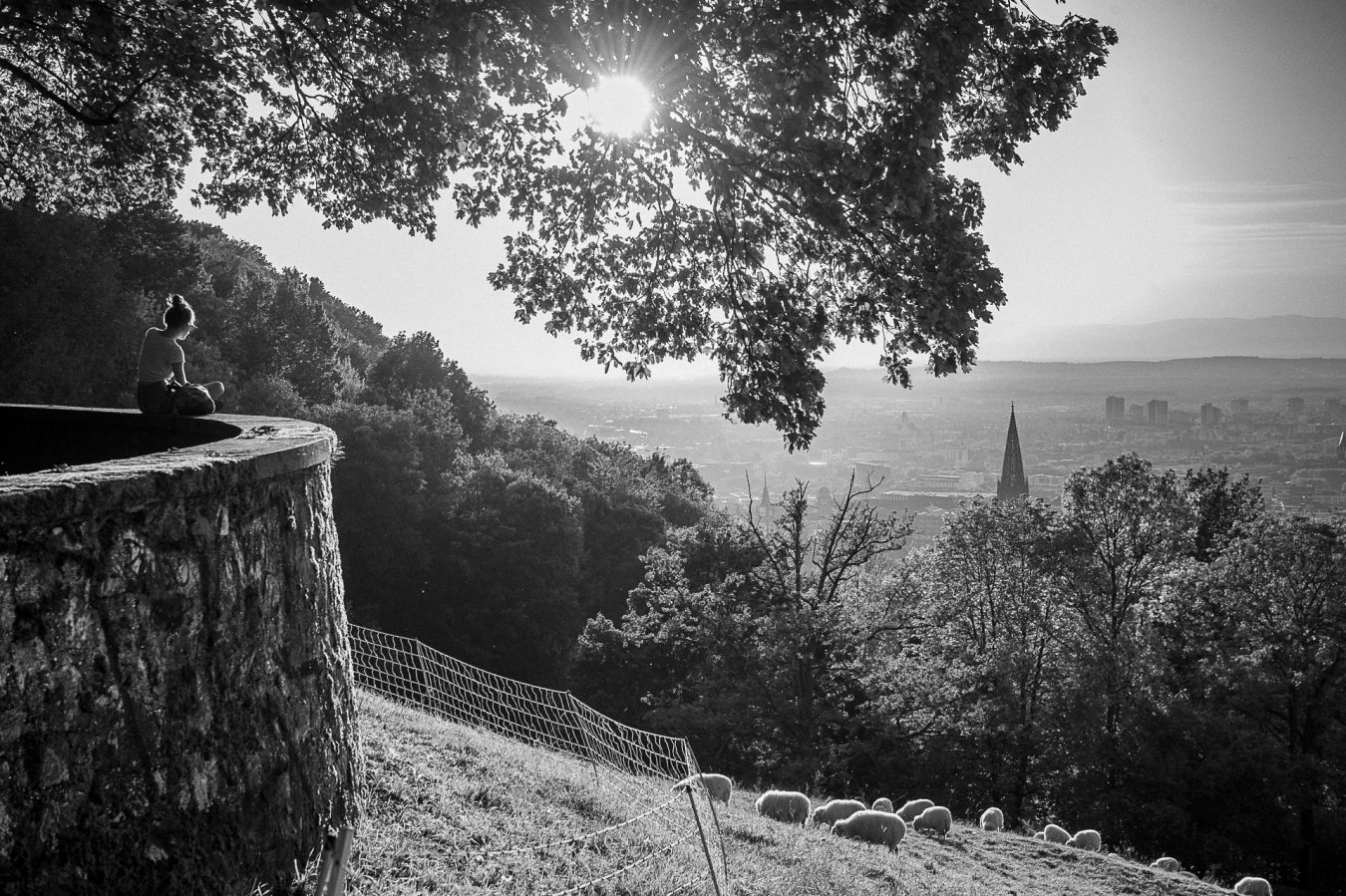 Freiburg, Schlossberg 2016 #16
