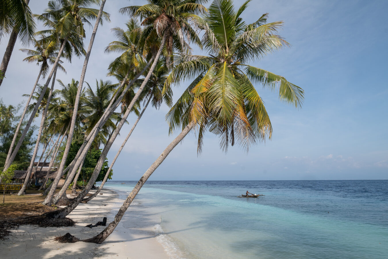 Indonesien - Sulawesi Peleng Poganda
