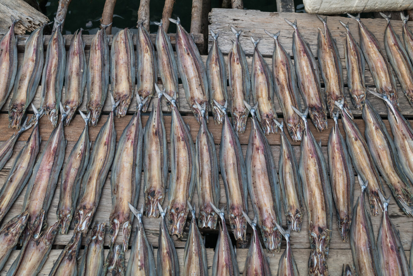 Indonesien - Sulawesi - Pulau Banggai Laut, Gong Gong