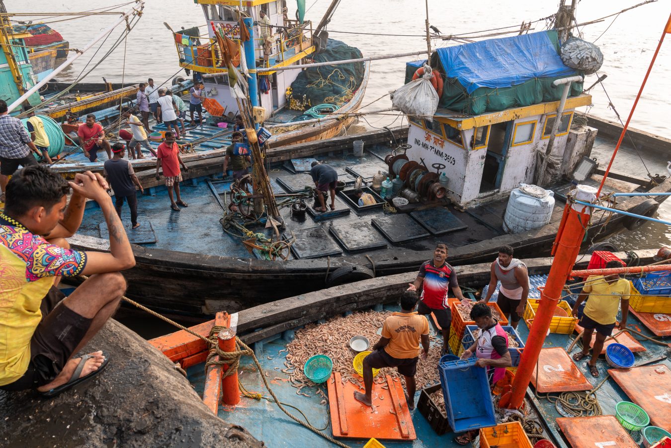 Indien, Mumbai Maharashtra, Colaba Fishing Harbour