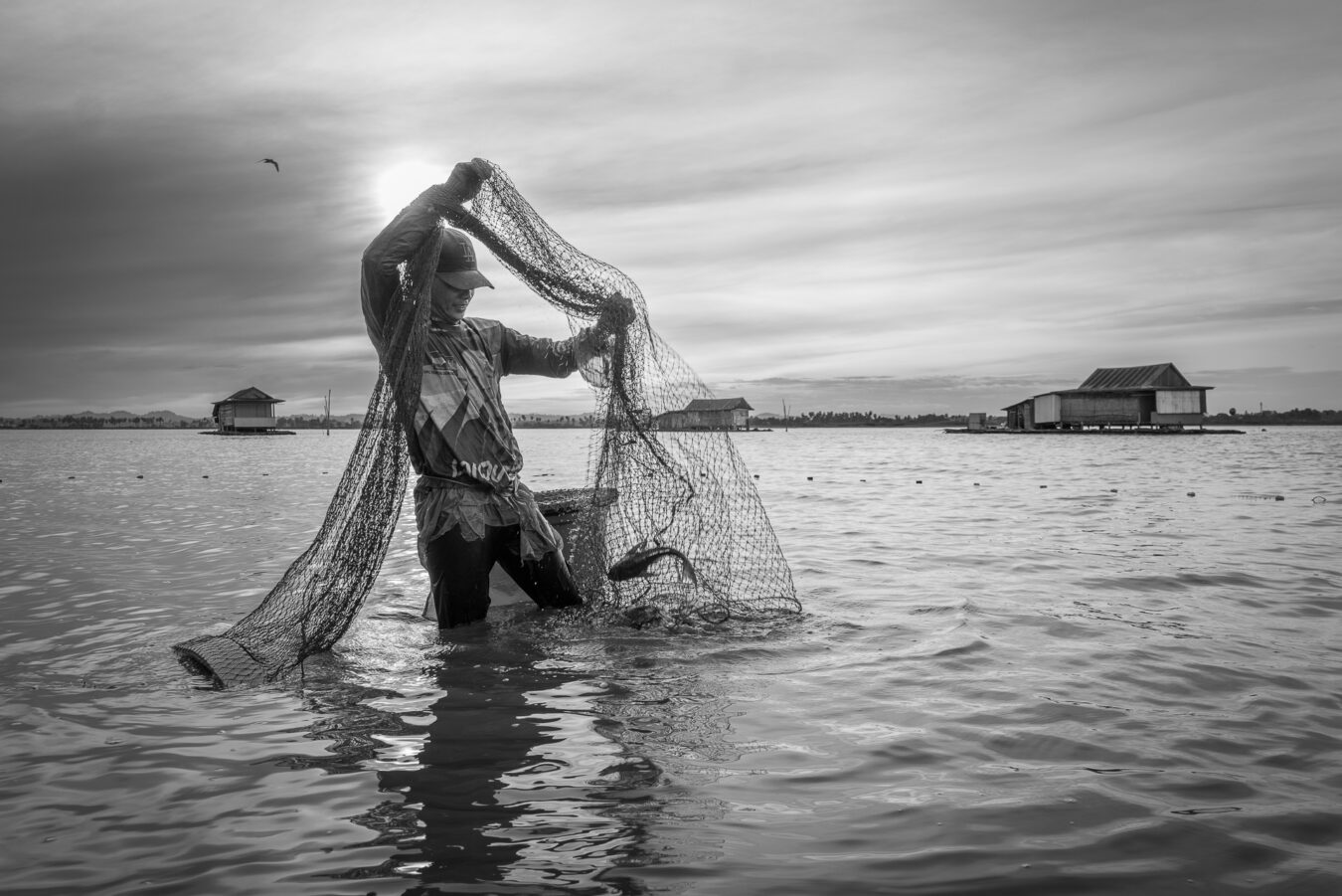 Sulawesi - Sengkang Lake Tempe