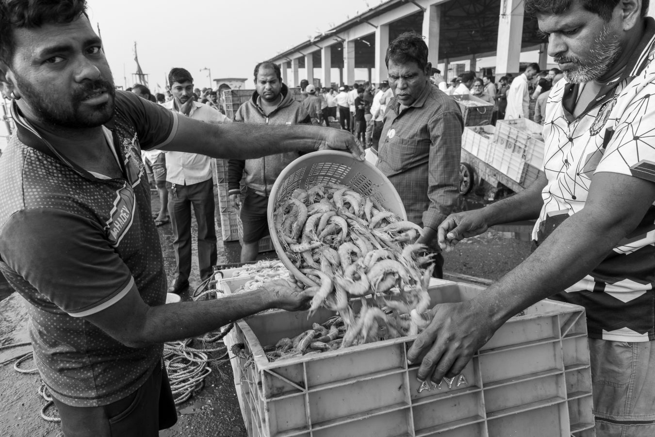 Indien, Mumbai Maharashtra, Colaba Fishing Harbour