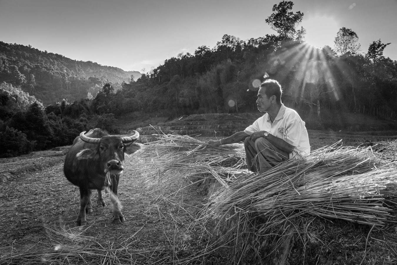 Thailand, Mae Lan Kam, Chiang Mai District - Karen Tribe