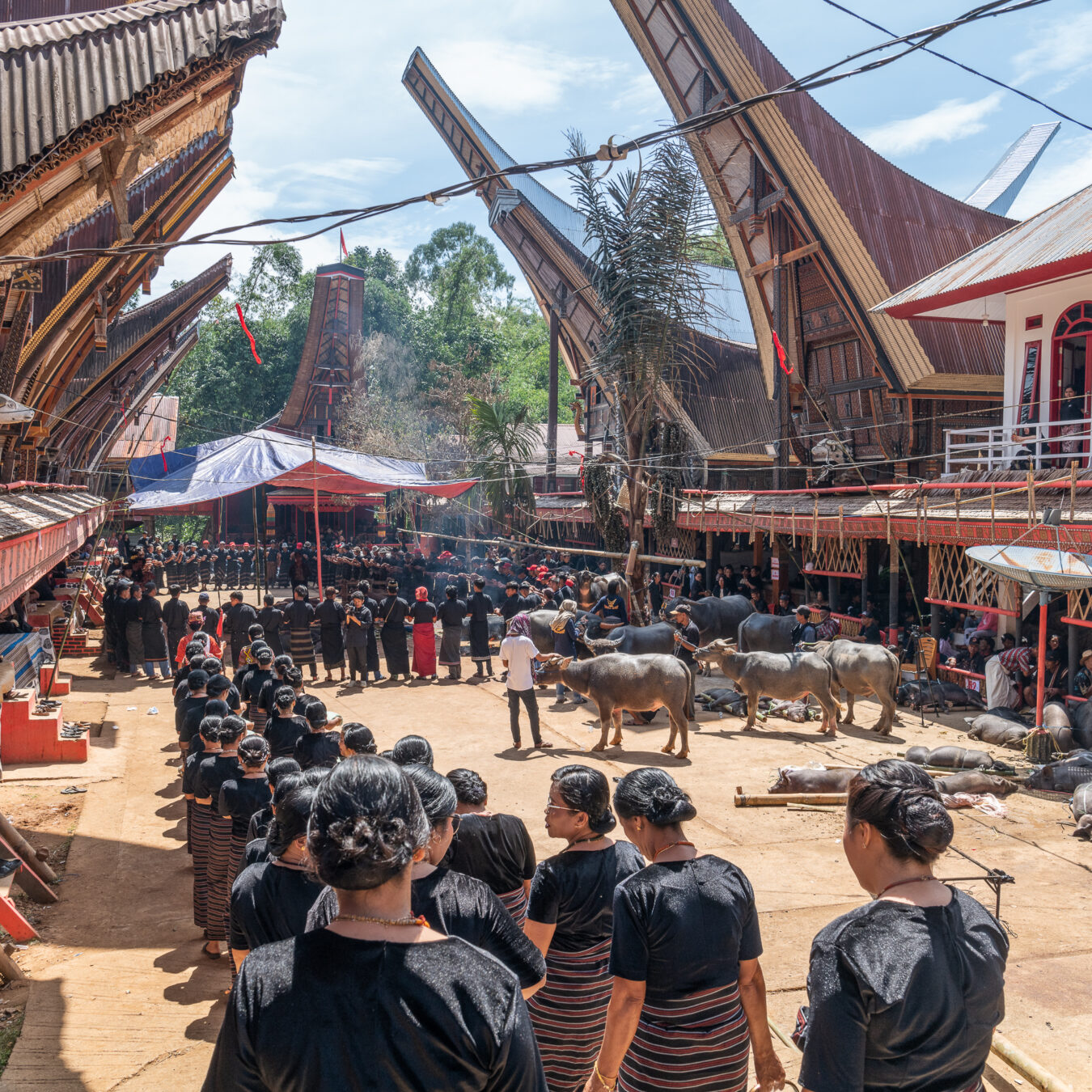 Sulawesi - Rantepao District