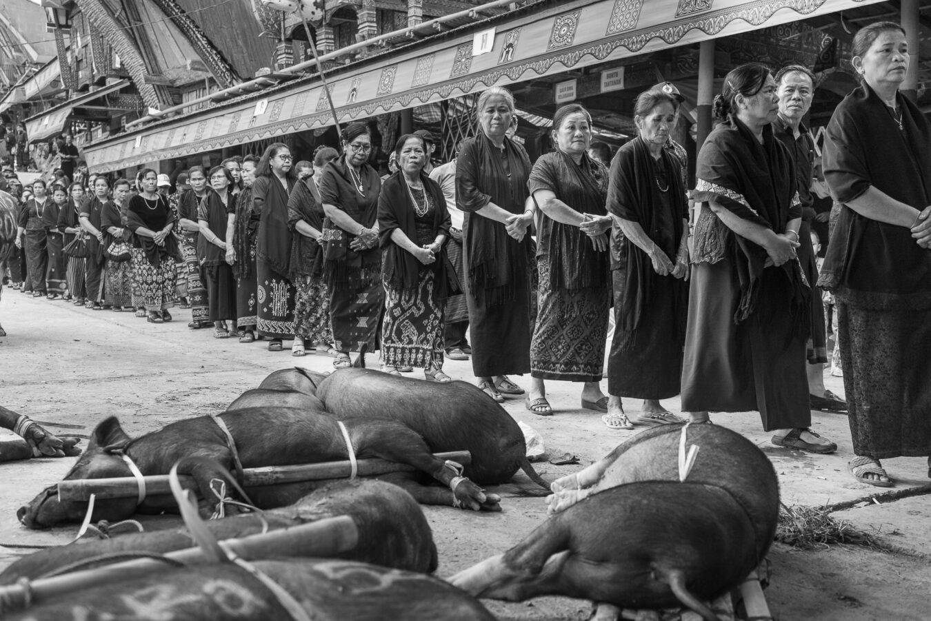 Sulawesi - Rantepao District