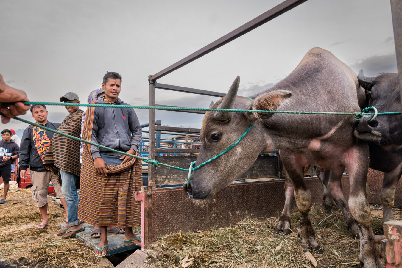 Sulawesi - Rantepao Pasar Bolu