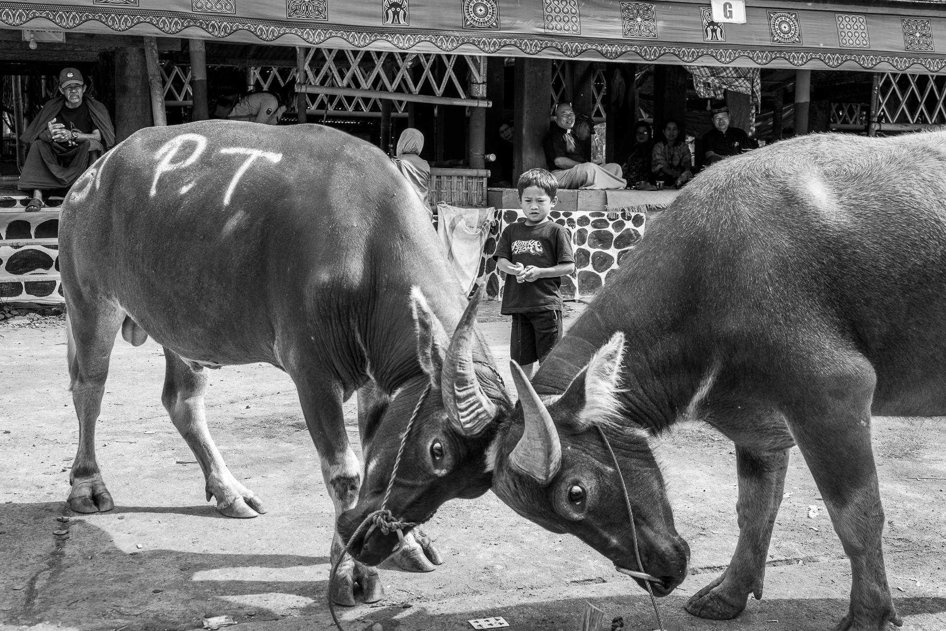 Sulawesi - Rantepao District