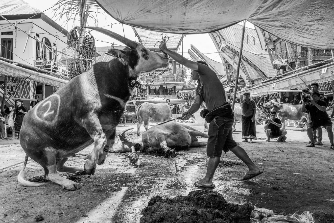 Sulawesi - Rantepao District