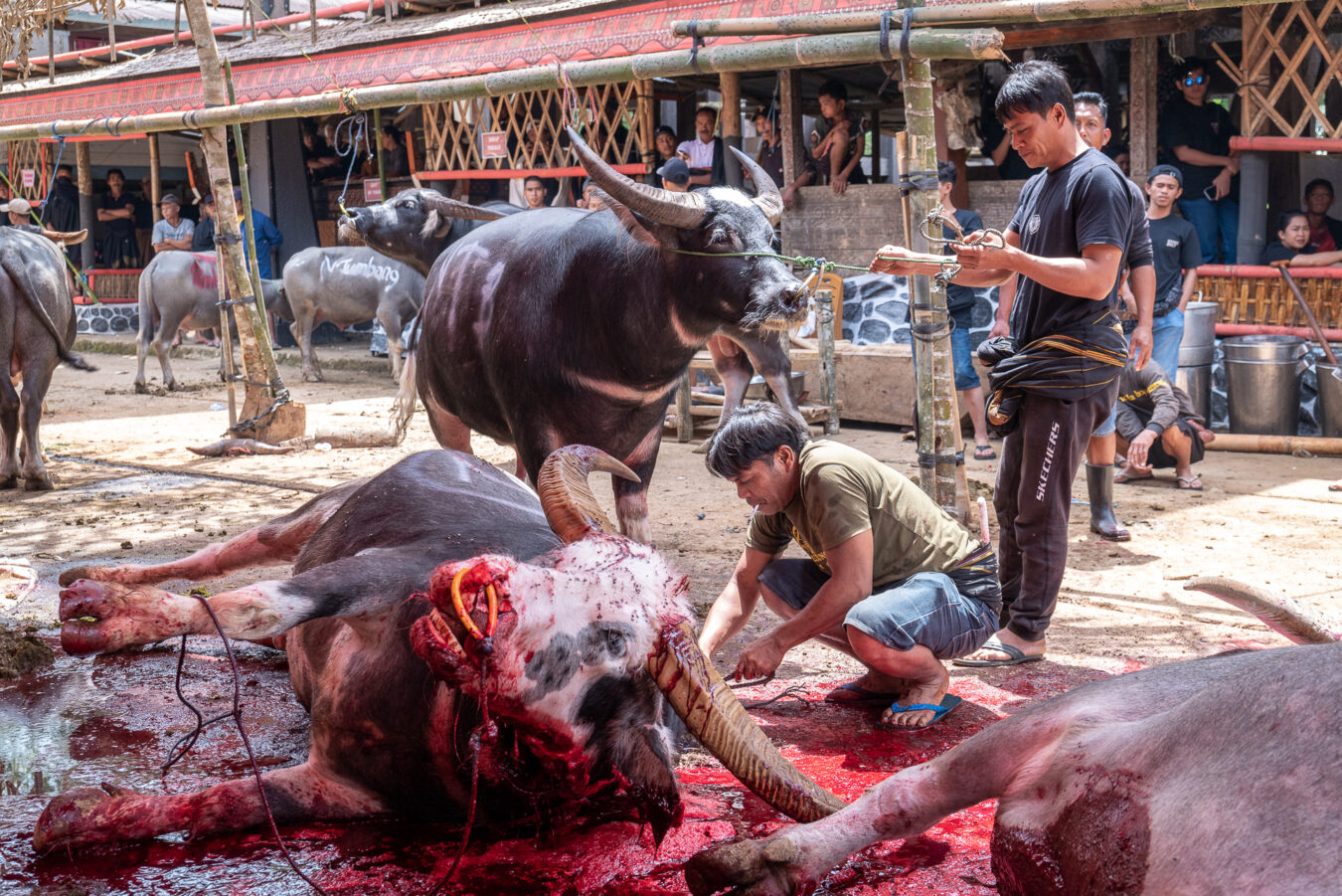 Sulawesi - Rantepao District