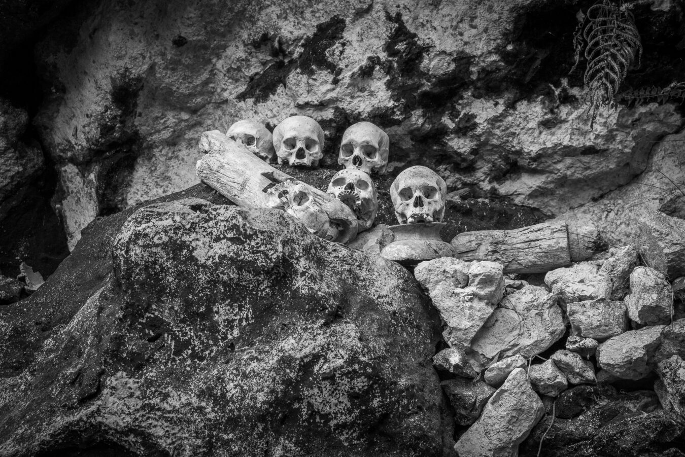 Sulawesi - Bunte Pune