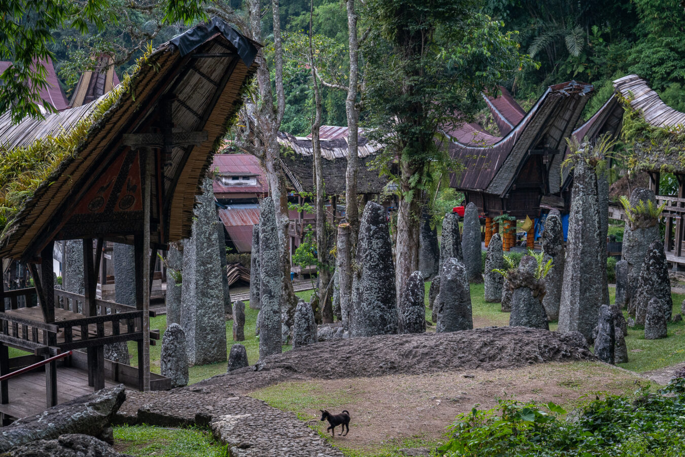 Sulawesi - Bori Kalimbuang