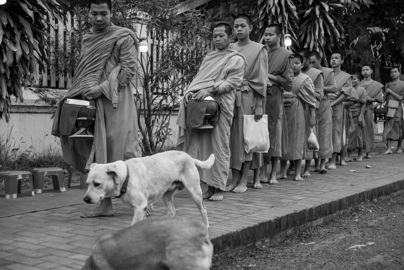 Laos, Luang Prabang - Almosengang der Mönche