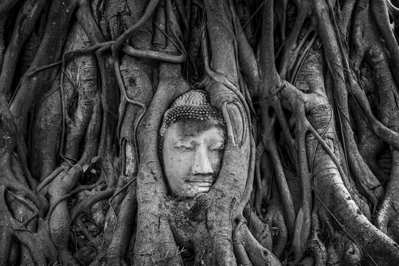 Thailand, Wat Mahathat - Ayutthaya